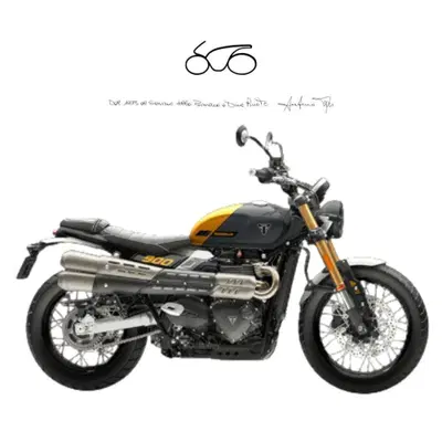Triumph Street Scrambler 900 (2021 - 22) nuova