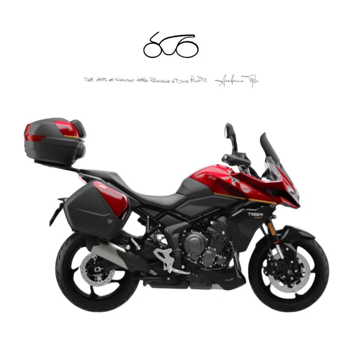 Triumph Tiger 800 (2010 - 14)