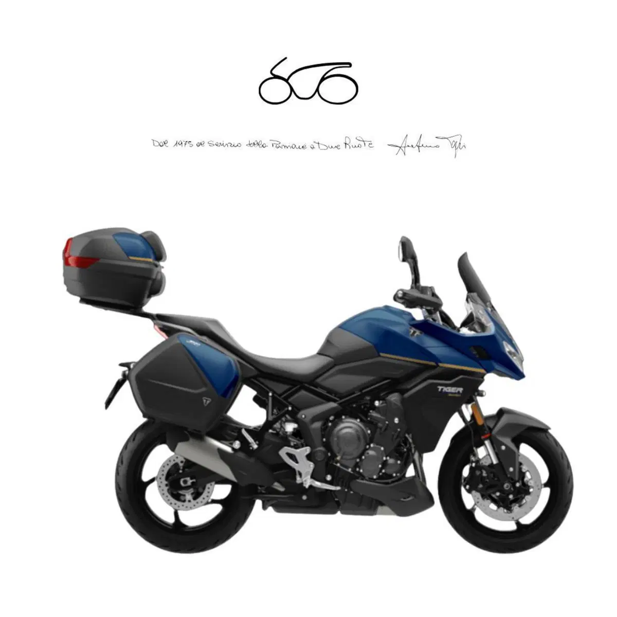Triumph Tiger 800 (2010 - 14)