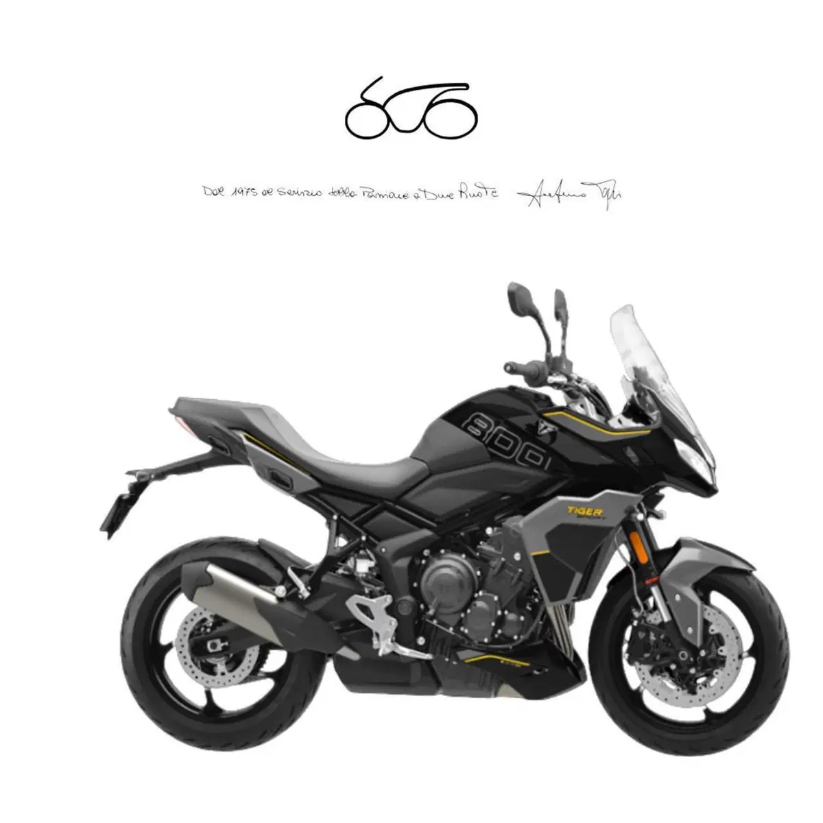 Triumph Tiger Sport 800 (2025 - 26)