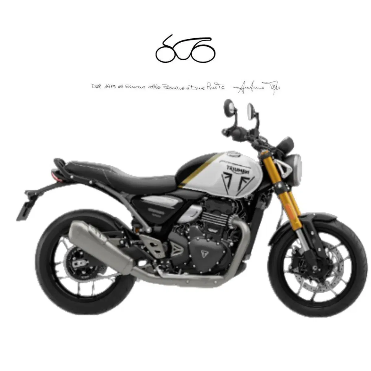 Triumph Speed 400 (2024 - 26)