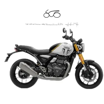 Triumph Speed 400 (2024 - 26) nuova