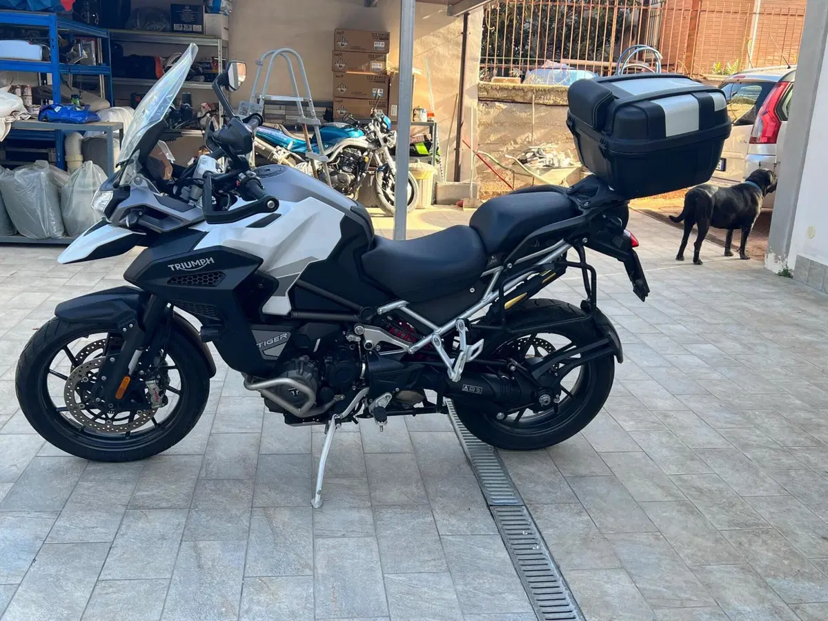 Triumph Tiger 1200 GT Explorer (2022 - 23) (2)