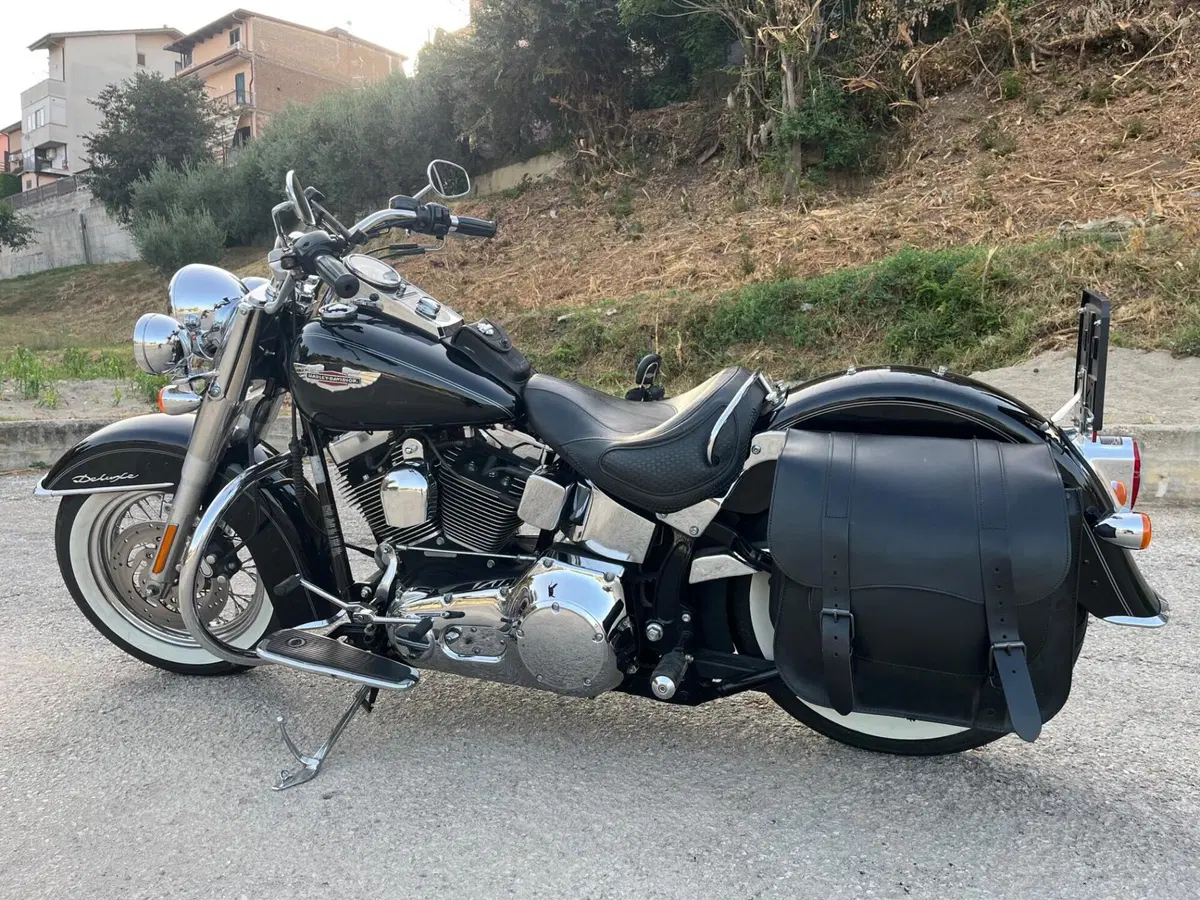 Harley-Davidson 1584 Deluxe (2007 - 08) - FLSTN (2)