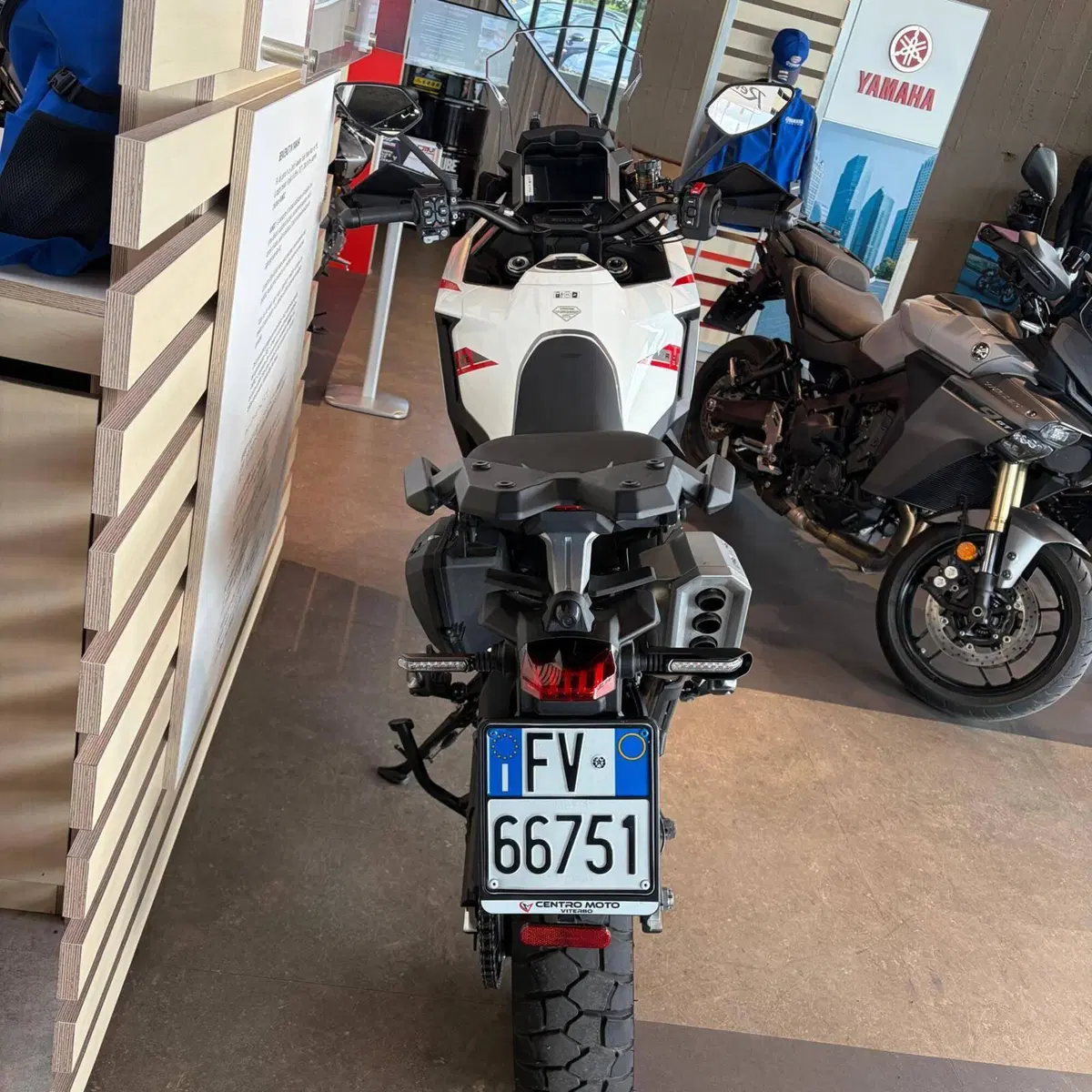 Zontes ZT703-F (2025 - 26) (2)