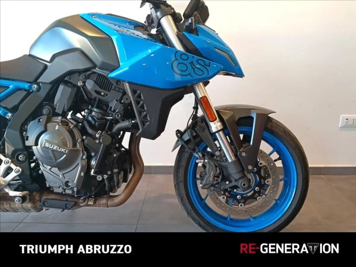 Suzuki GSX-8S (2023 - 24) (5)
