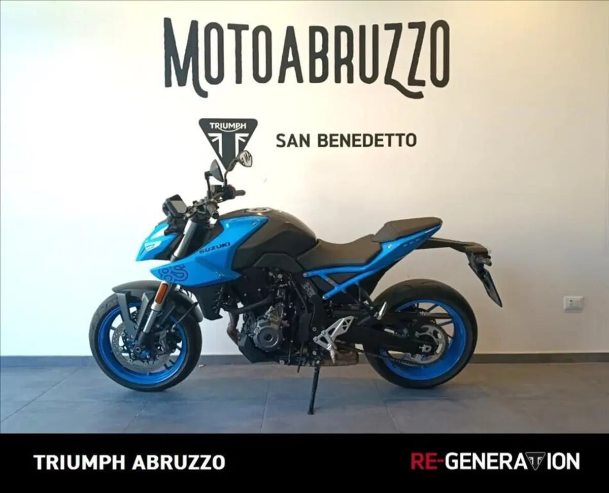 Suzuki GSX-8S (2023 - 24) (4)