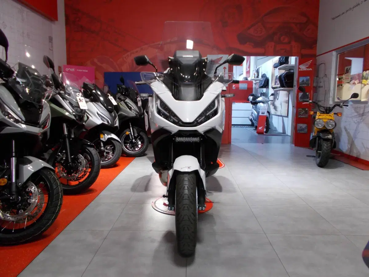 Honda NT 1100 Travel DCT (2022 - 24) (7)