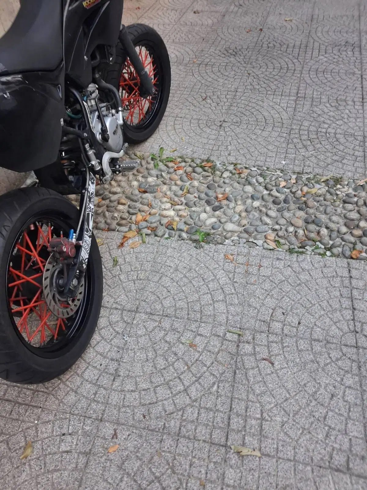 Betamotor RR 50 Motard (2010 - 12) (4)