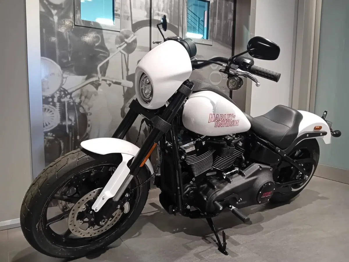 Harley-Davidson Low Rider S (2025 - 26) (3)