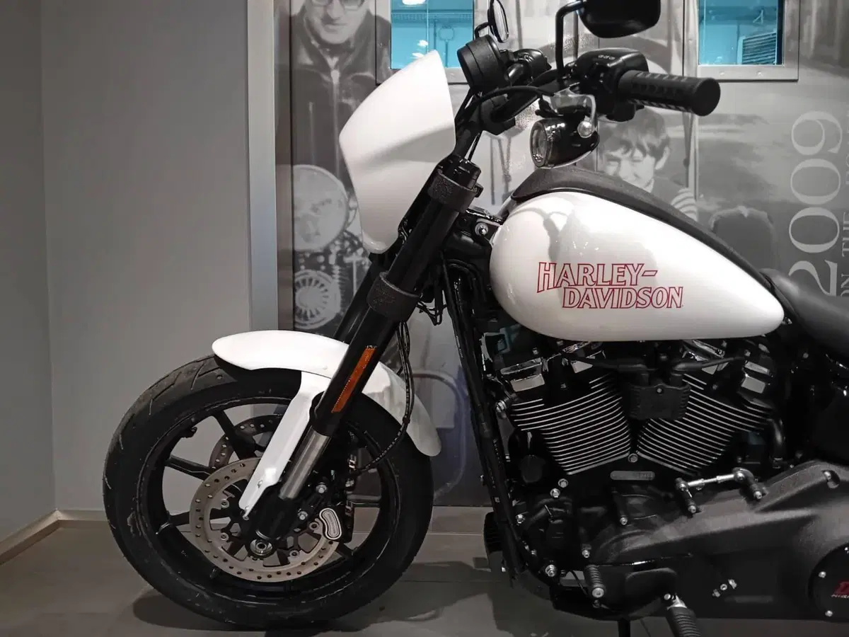 Harley-Davidson Low Rider S (2025 - 26) (4)