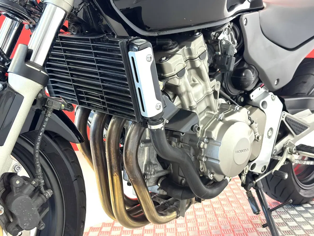 Honda Hornet 600 (2003 - 04) (14)