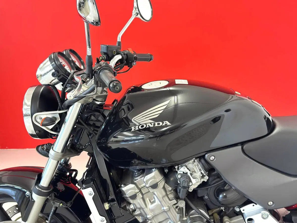 Honda Hornet 600 (2003 - 04) (15)