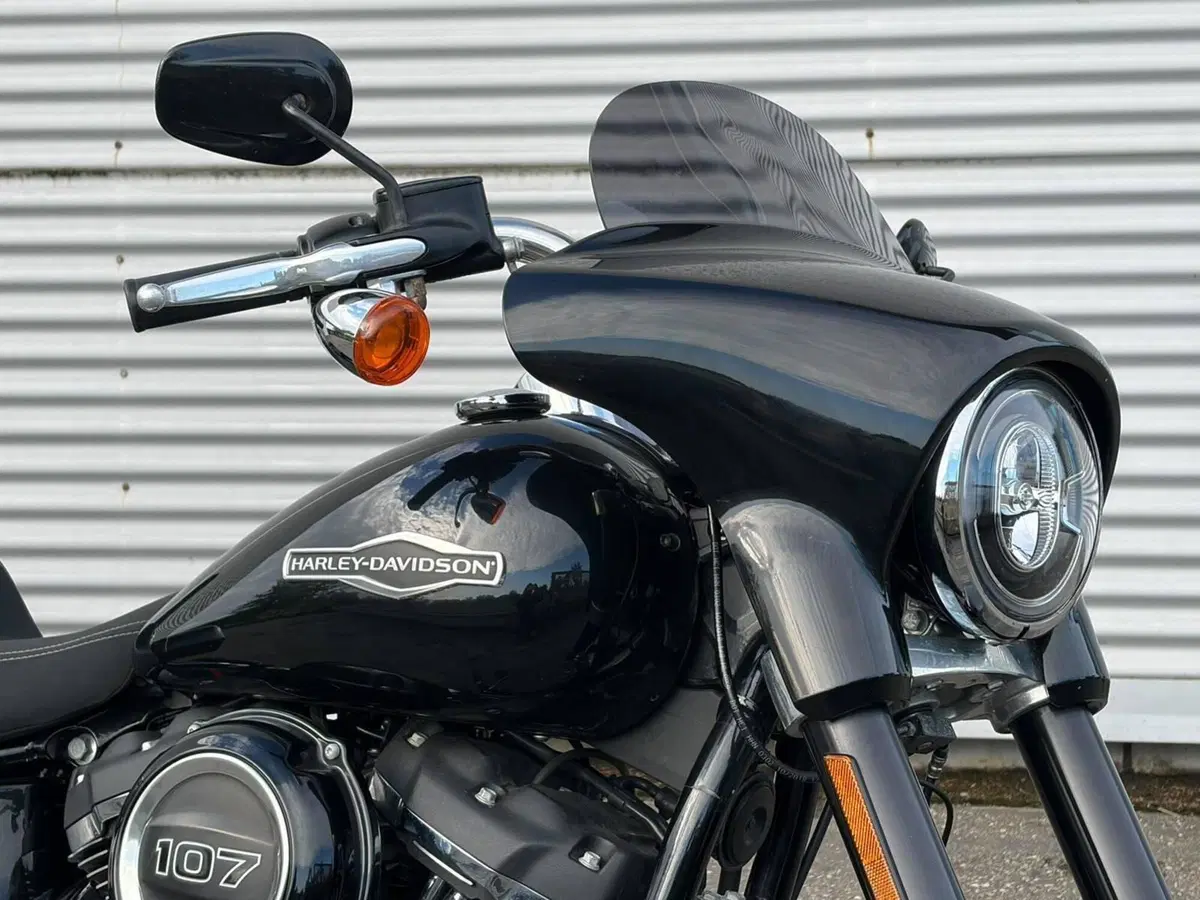 Harley-Davidson 107 Sport Glide (2018 - 20) (4)