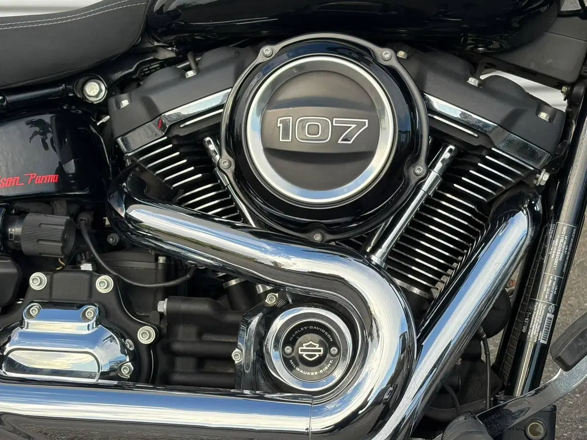 Harley-Davidson 107 Sport Glide (2018 - 20) (6)