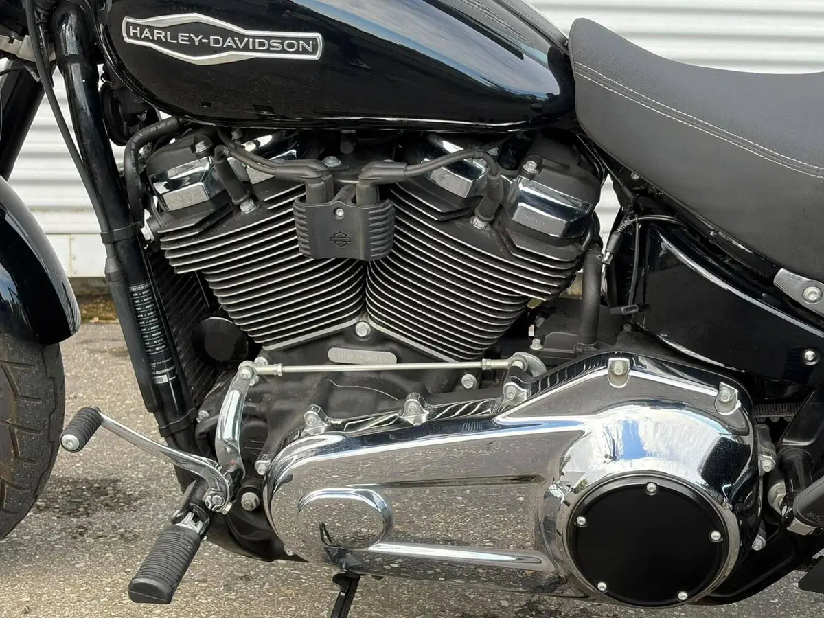 Harley-Davidson 107 Sport Glide (2018 - 20) (9)