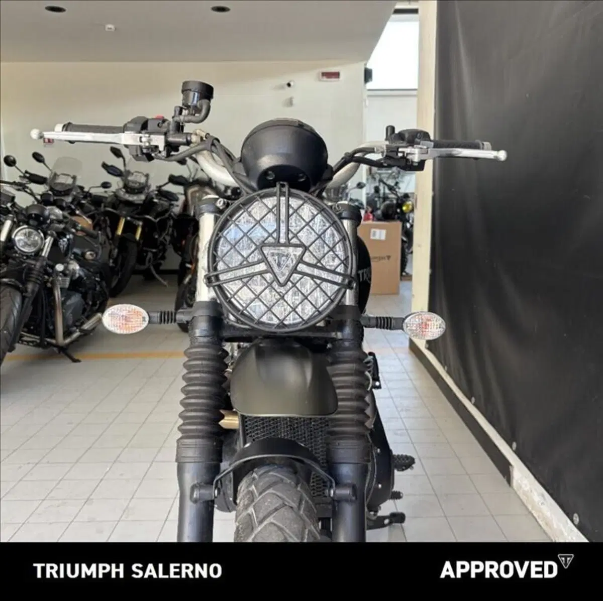 Triumph Scrambler 900 (2023 - 25) (5)