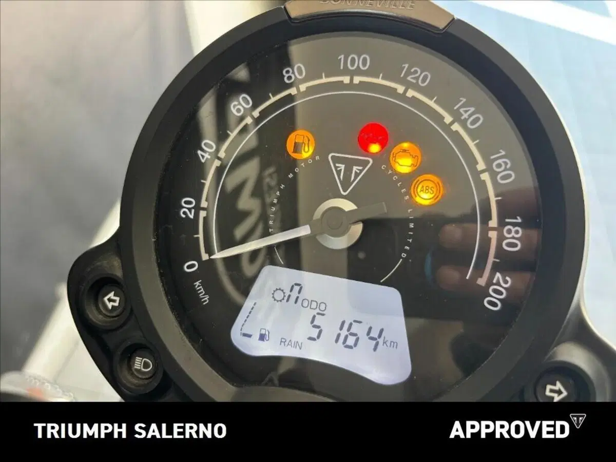 Triumph Scrambler 900 (2023 - 25) (7)