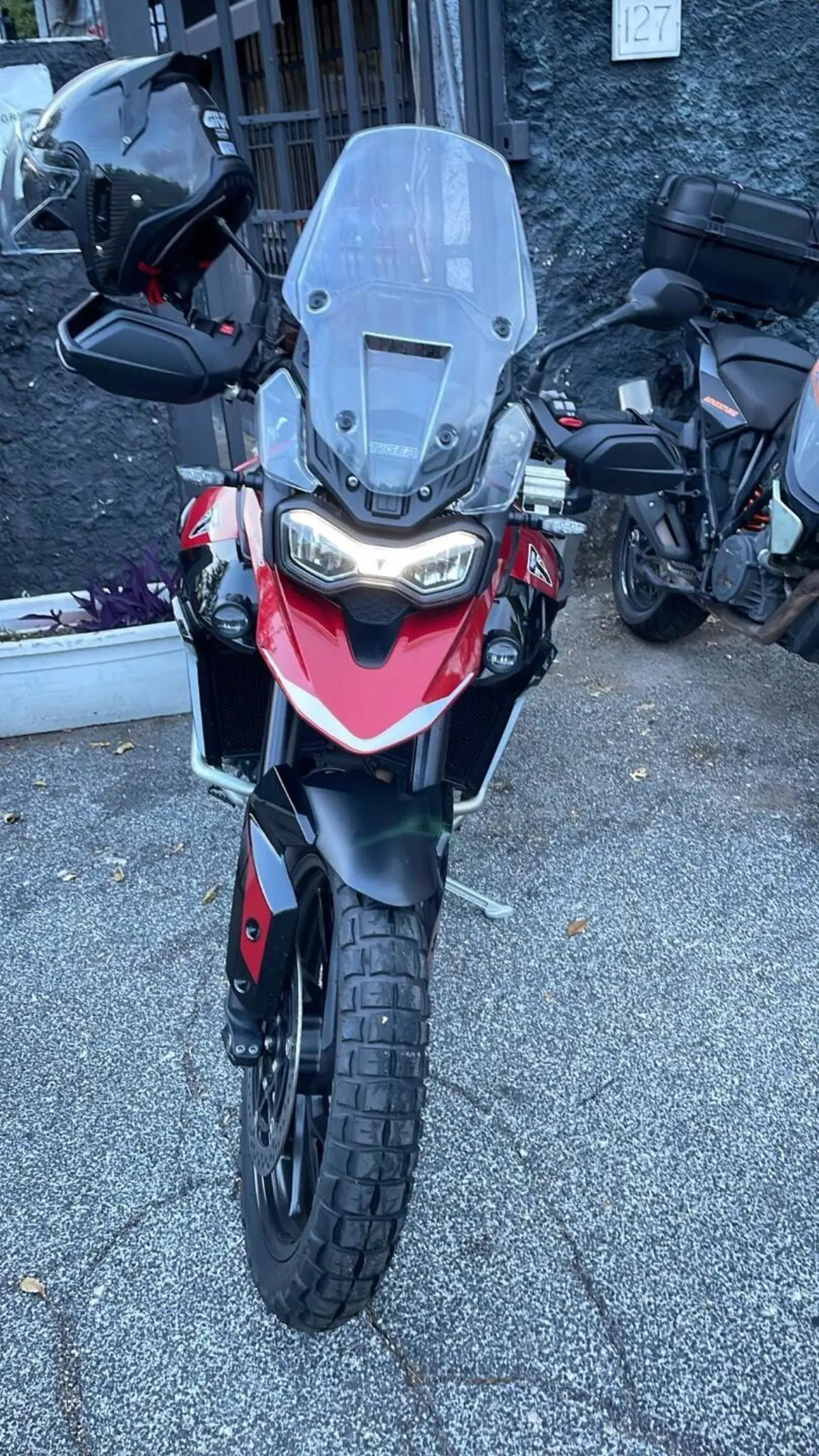 Triumph Tiger 900 GT Pro (2024 - 26) (4)