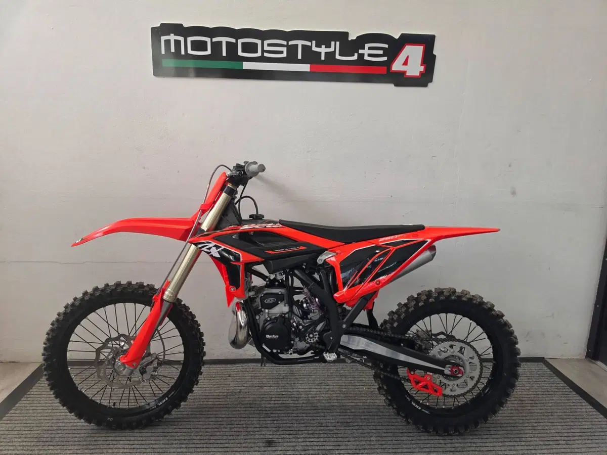 Betamotor RX 250 2T (2027) (2)