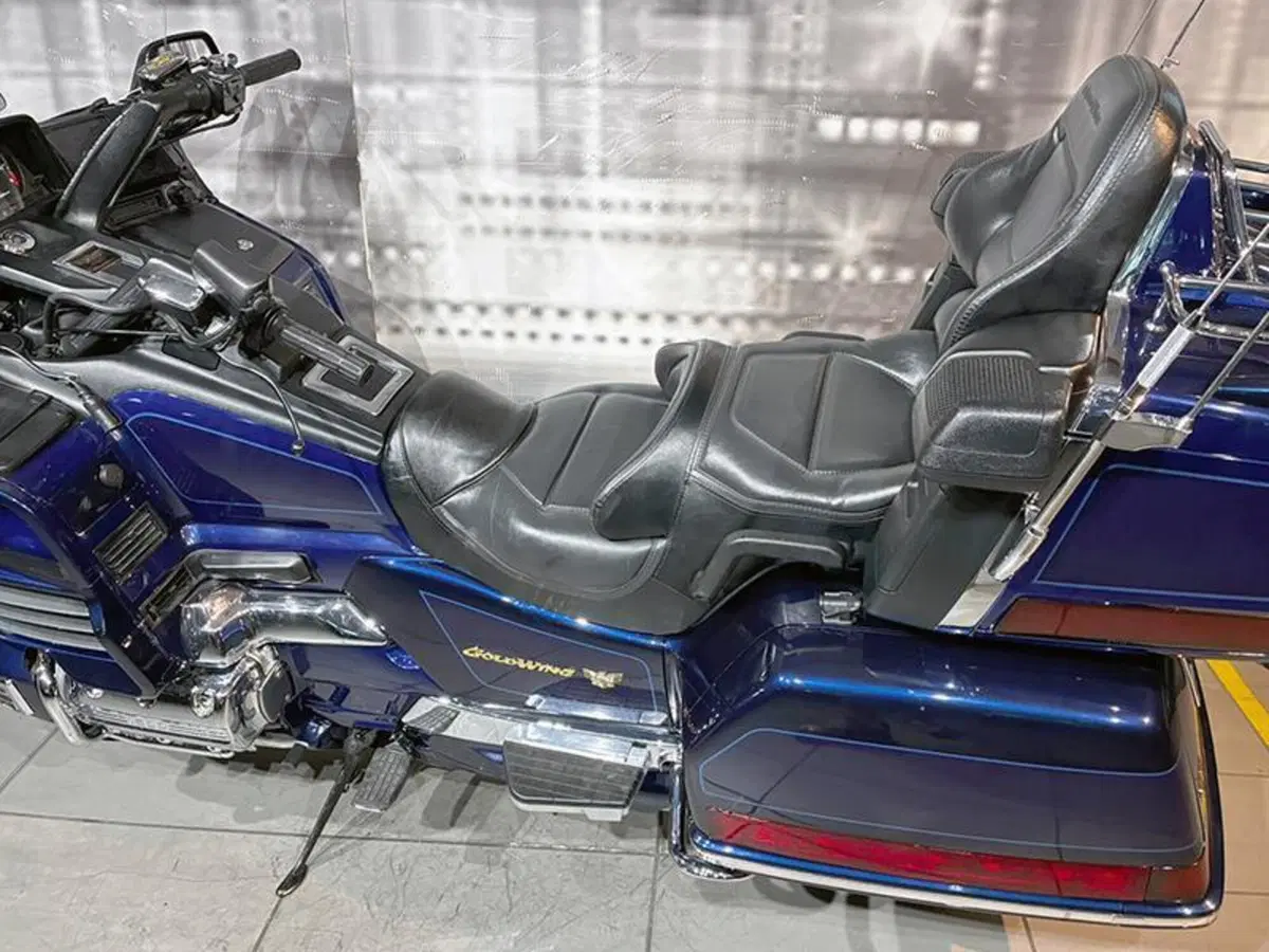 Honda GL 1500 SE Gold Wing (1991 - 02) (5)