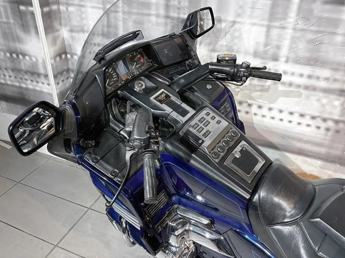 Honda GL 1500 SE Gold Wing (1991 - 02) (6)