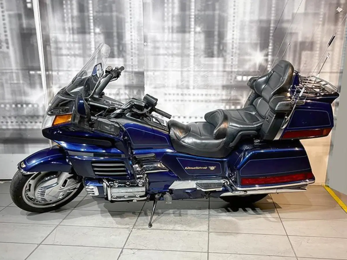 Honda GL 1500 SE Gold Wing (1991 - 02) (7)