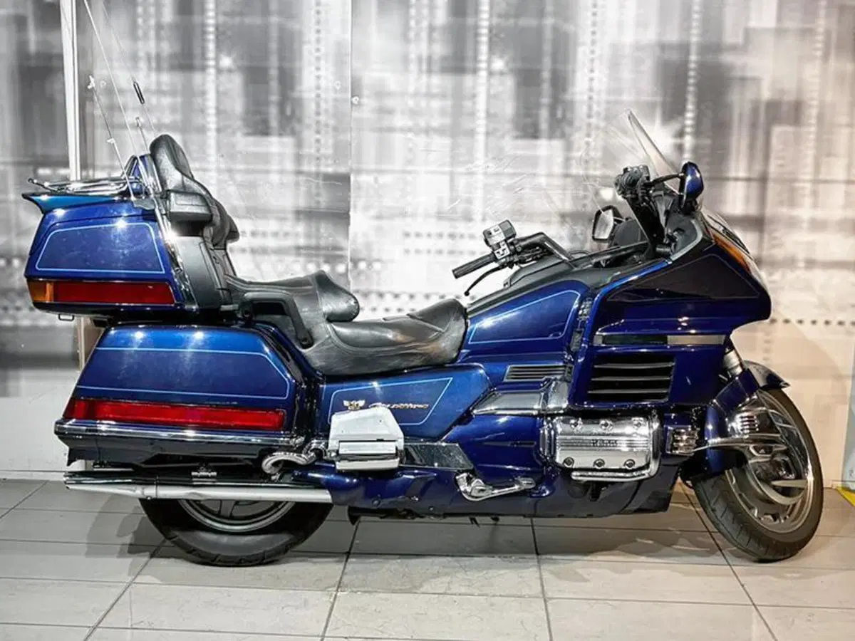 Honda GL 1500 SE Gold Wing (1991 - 02) (8)
