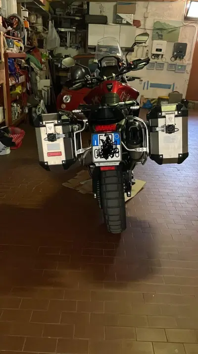 Triumph Tiger 900 GT Pro (2024 - 26) usata