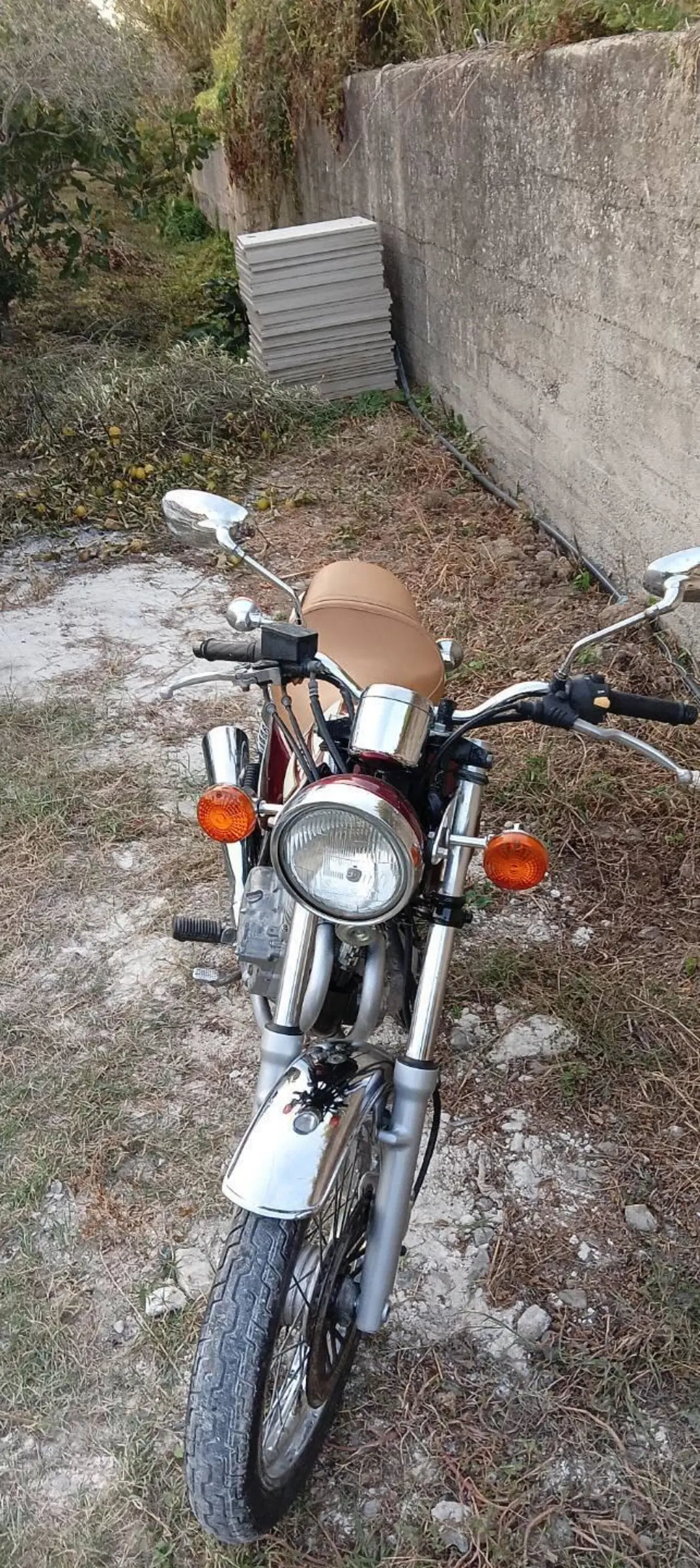 Suzuki TU 250