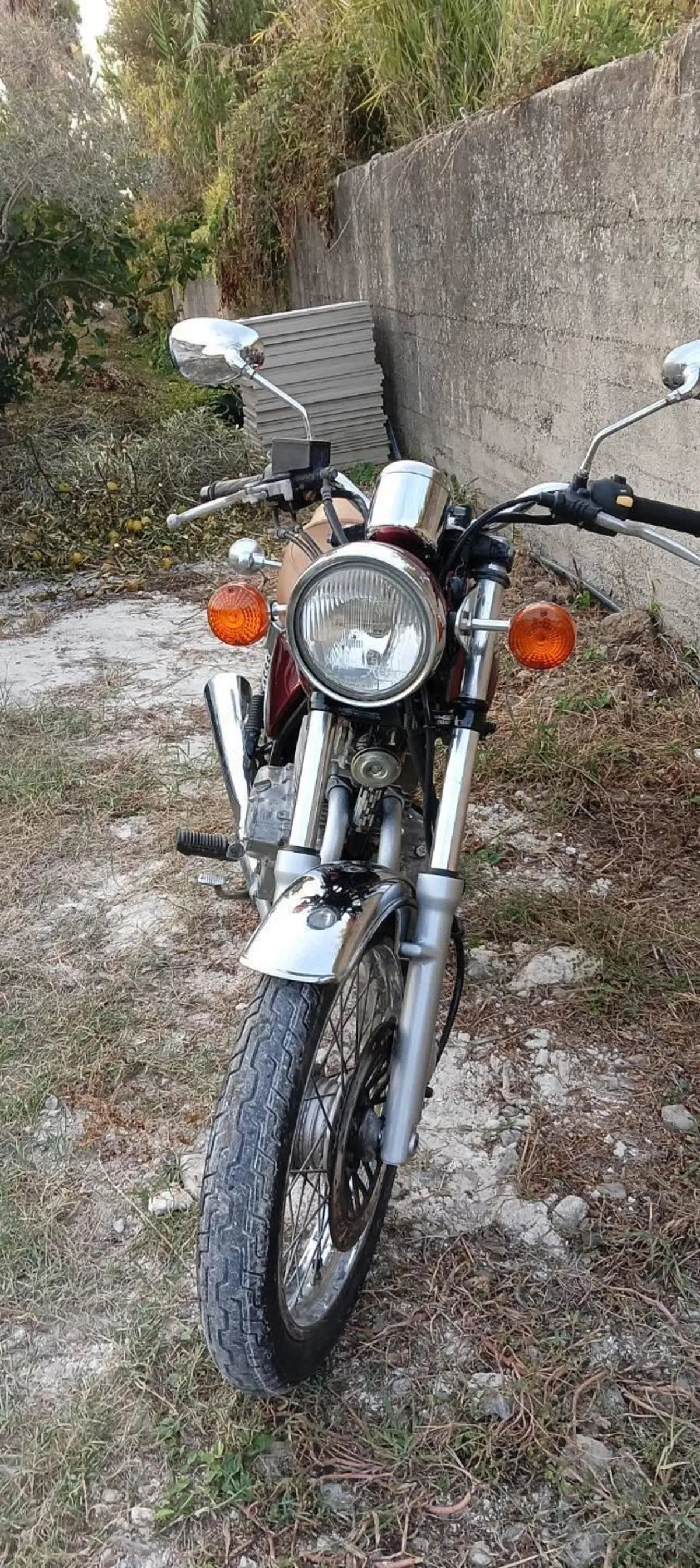 Suzuki TU 250 (10)