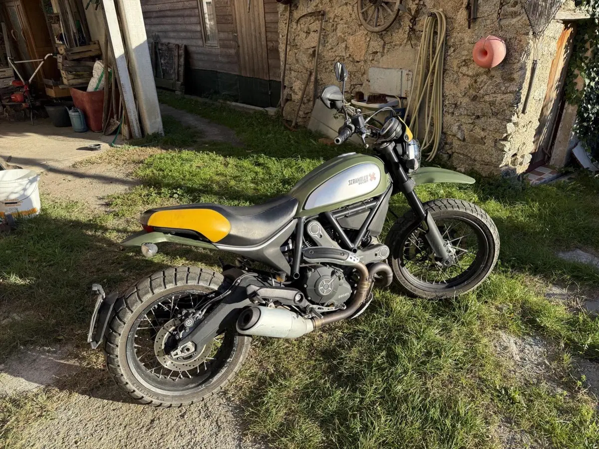 Ducati Scrambler 800 Urban Enduro (2015 - 16) (4)
