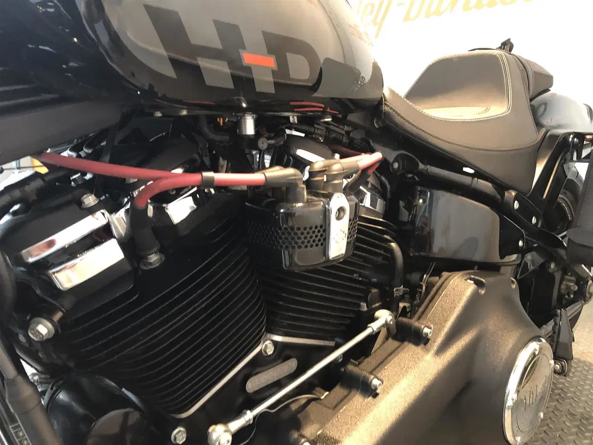 Harley-Davidson Fat Bob 114 (2021 - 25) (5)