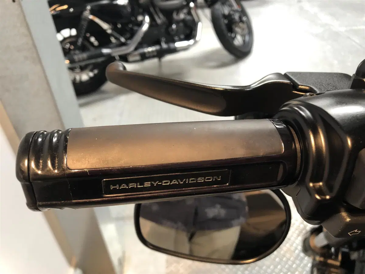 Harley-Davidson Fat Bob 114 (2021 - 25) (6)