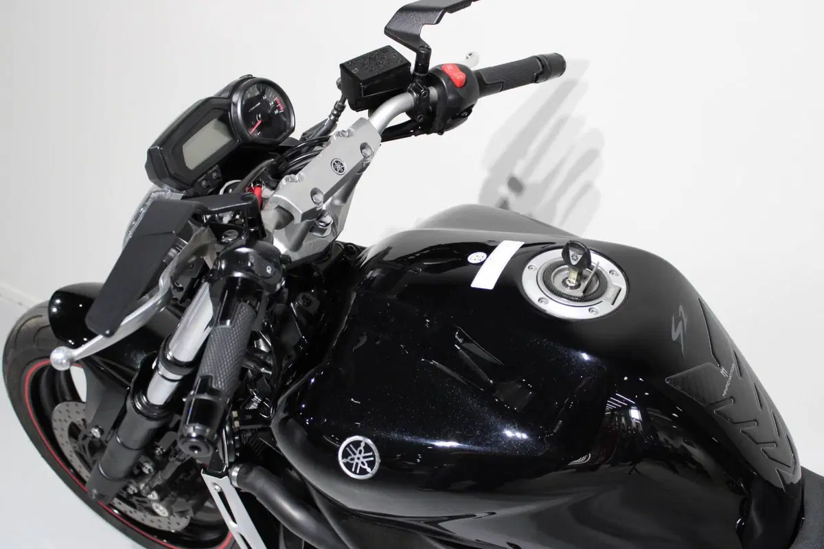 Yamaha FZ6 S2 (2007 - 11) (6)