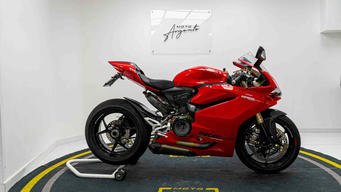 Ducati 1299 Panigale (2015 - 17) (3)