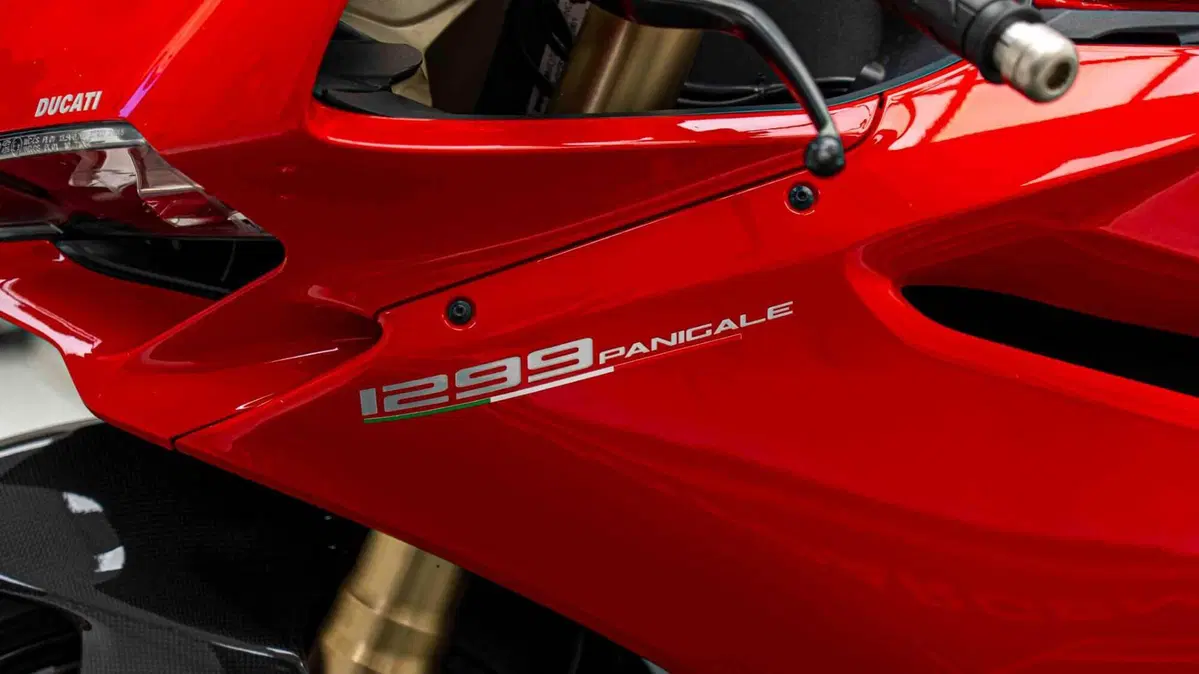 Ducati 1299 Panigale (2015 - 17) (14)