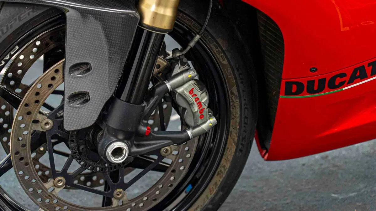 Ducati 1299 Panigale (2015 - 17) (15)