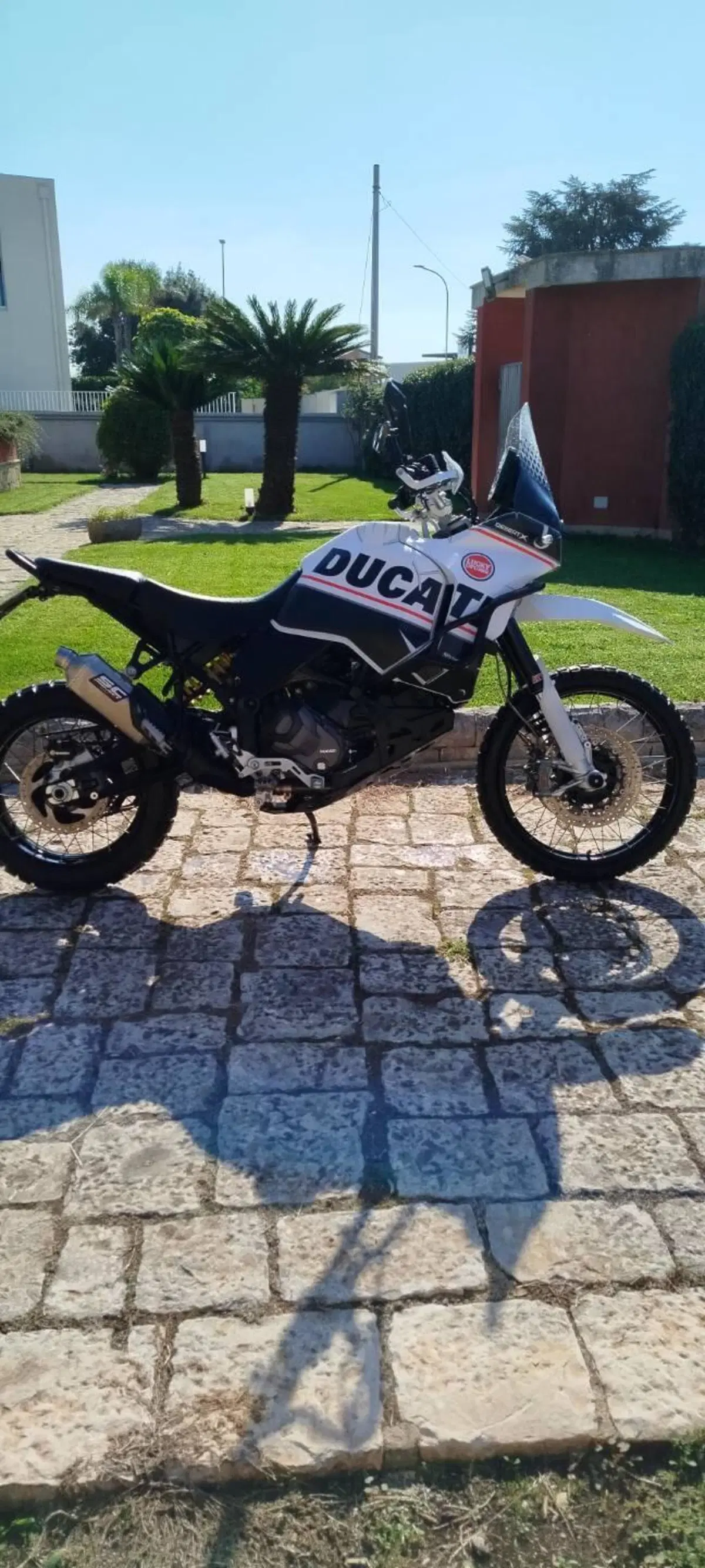 Ducati DesertX (2022 - 25)