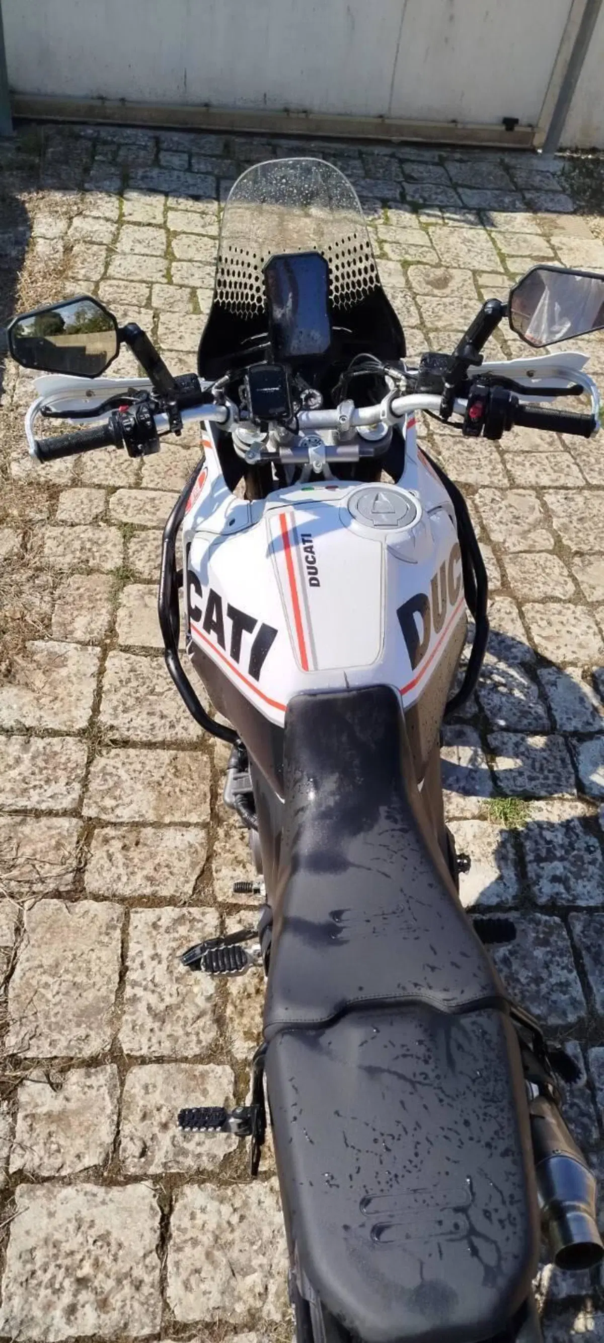 Ducati DesertX (2022 - 25) (4)