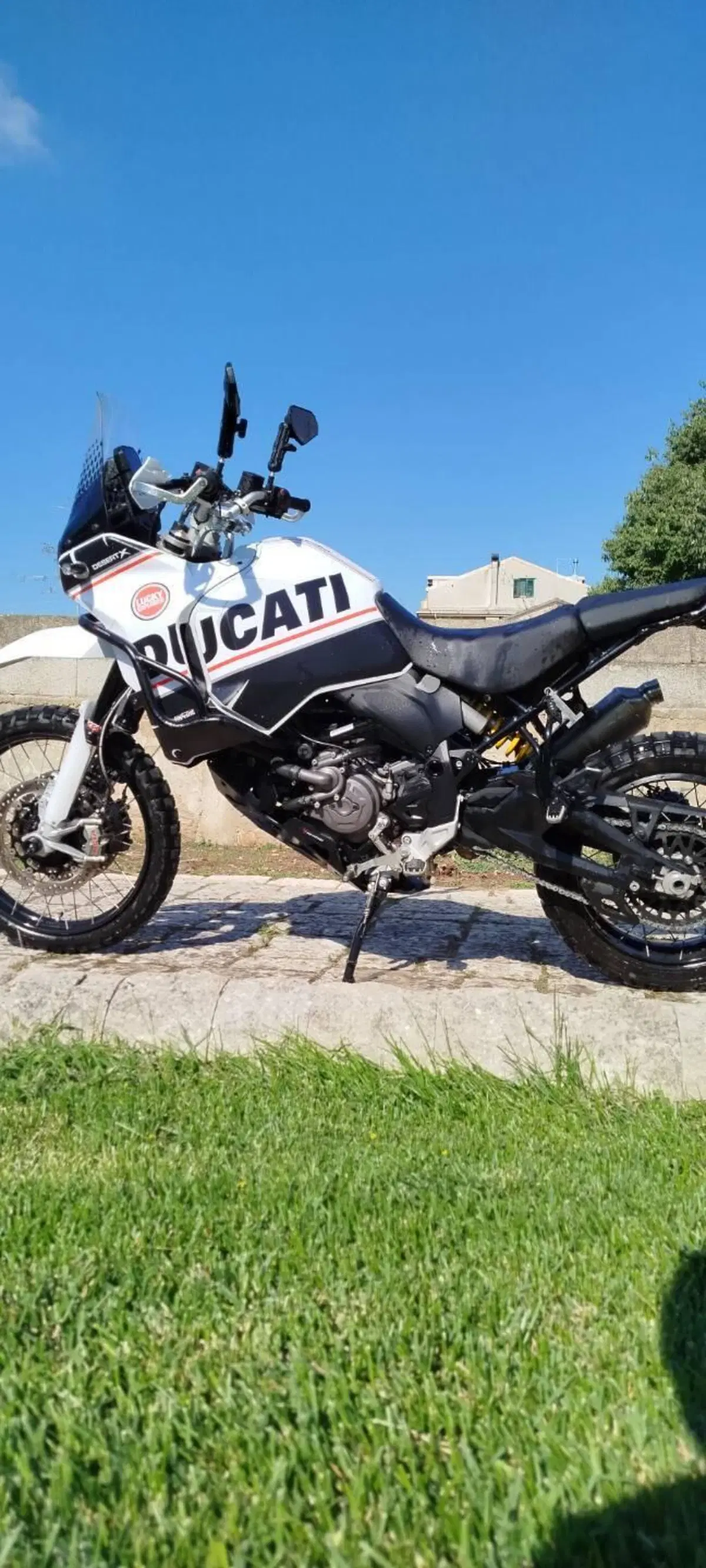 Ducati DesertX (2022 - 25) (5)