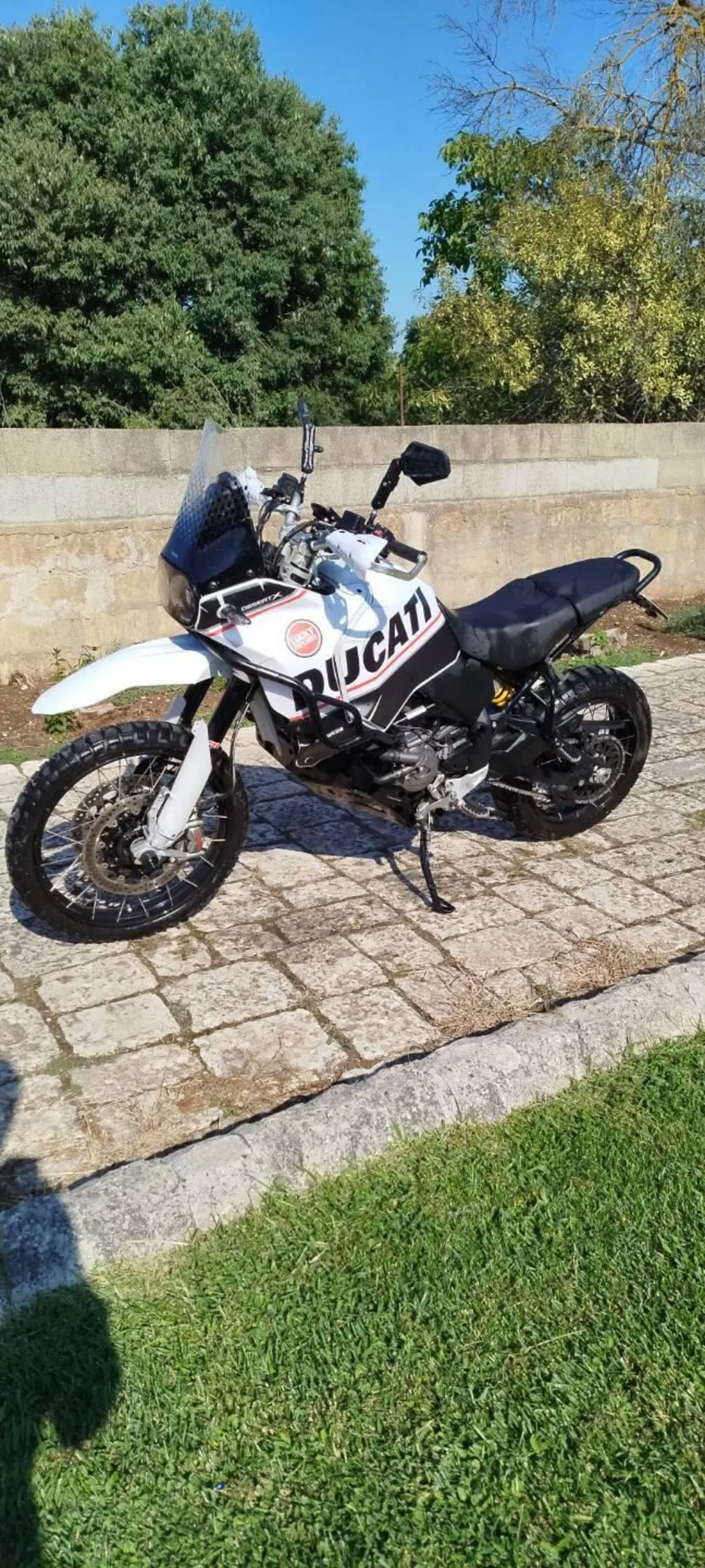 Ducati DesertX (2022 - 25) (6)