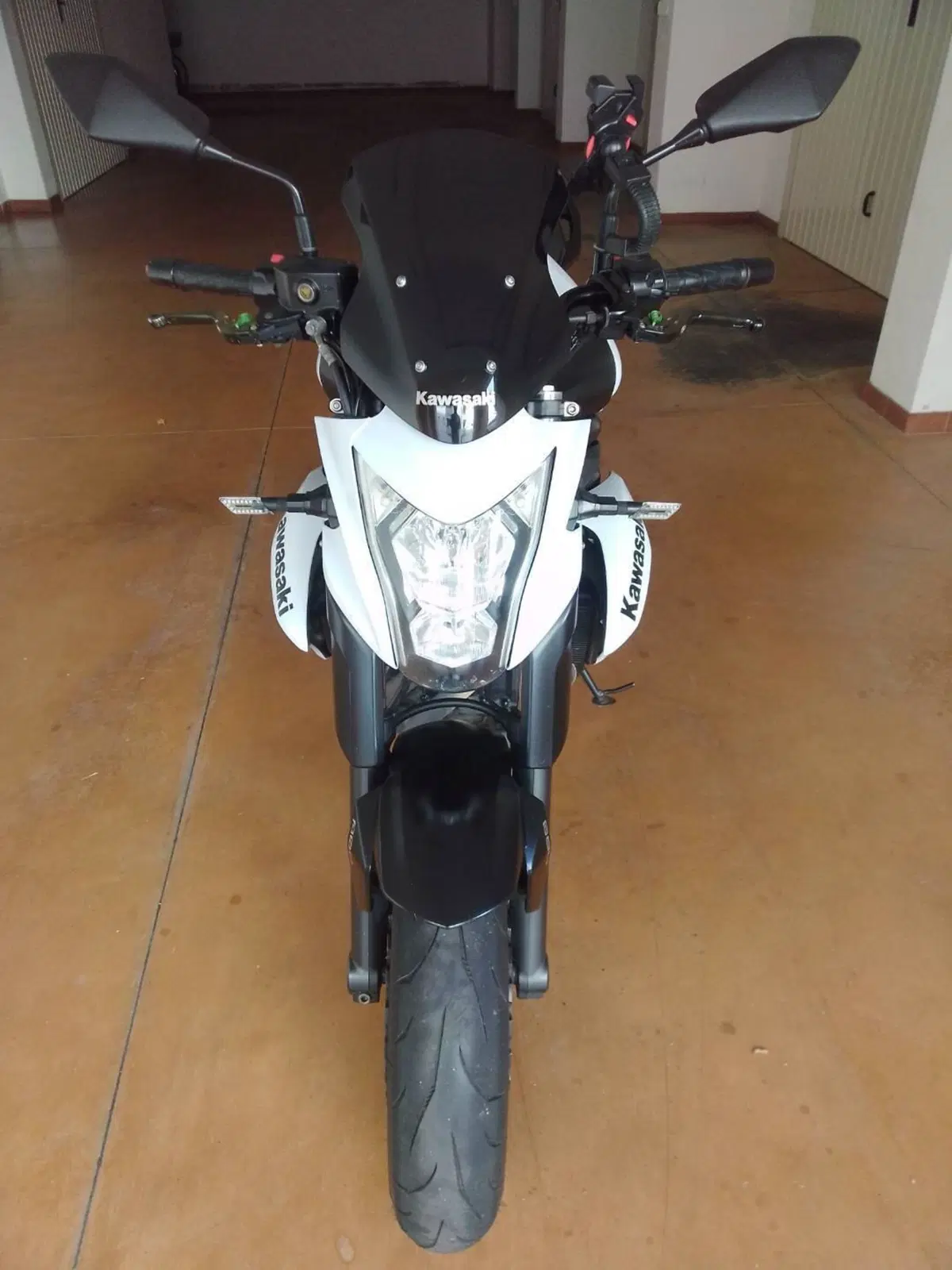 Kawasaki ER-6N ABS (2012 - 16) (3)