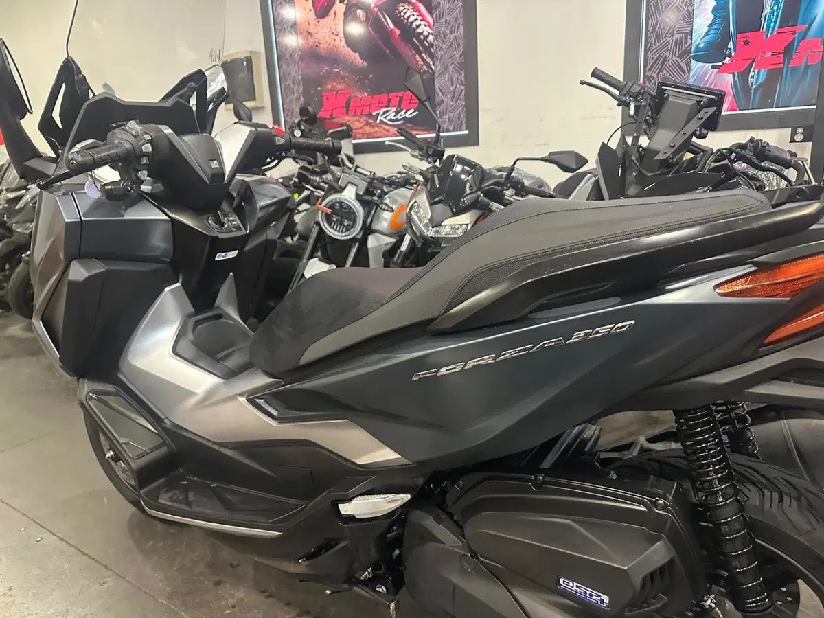 Honda Forza 350 (2022 - 24) (3)