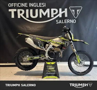 Triumph TF 250-E (2026) usata