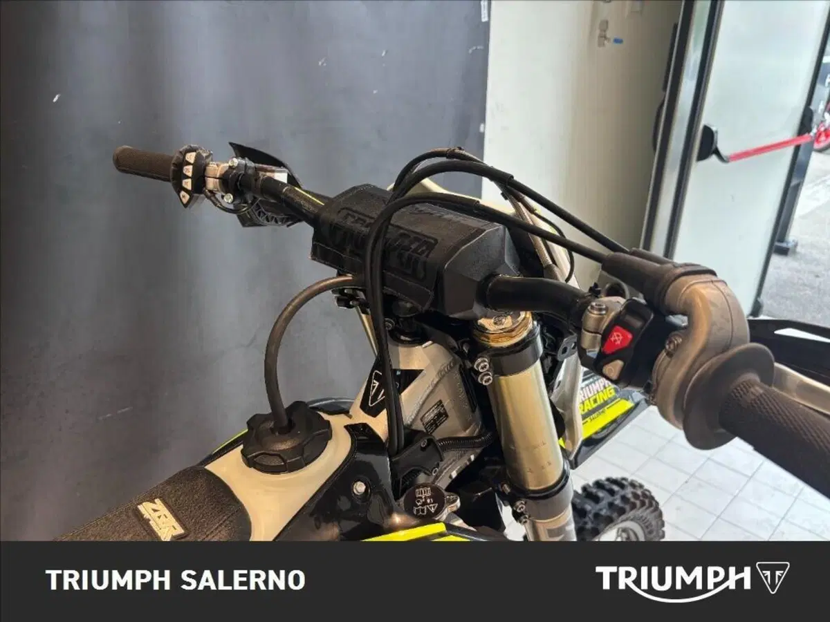 Triumph TF 250-E (2026) (7)
