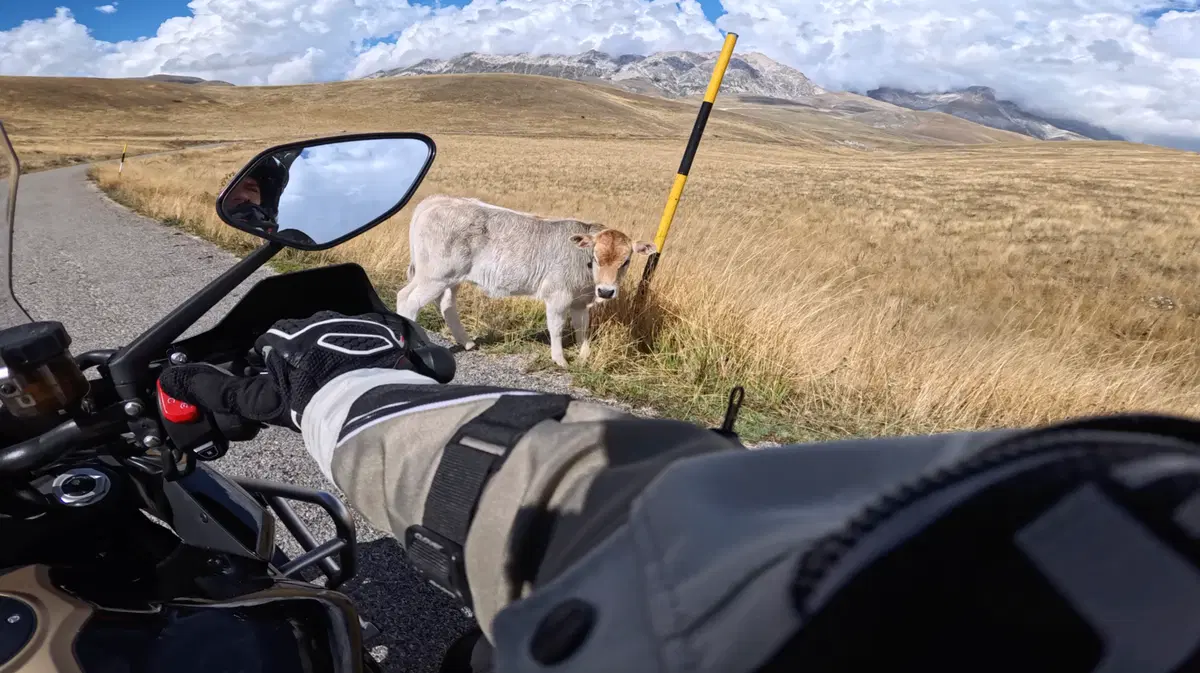 Zontes 703T TEST: turismo a meno di 9.000€, è lei la crossover che rompe le regole? [VIDEO E GALLERY] (2)