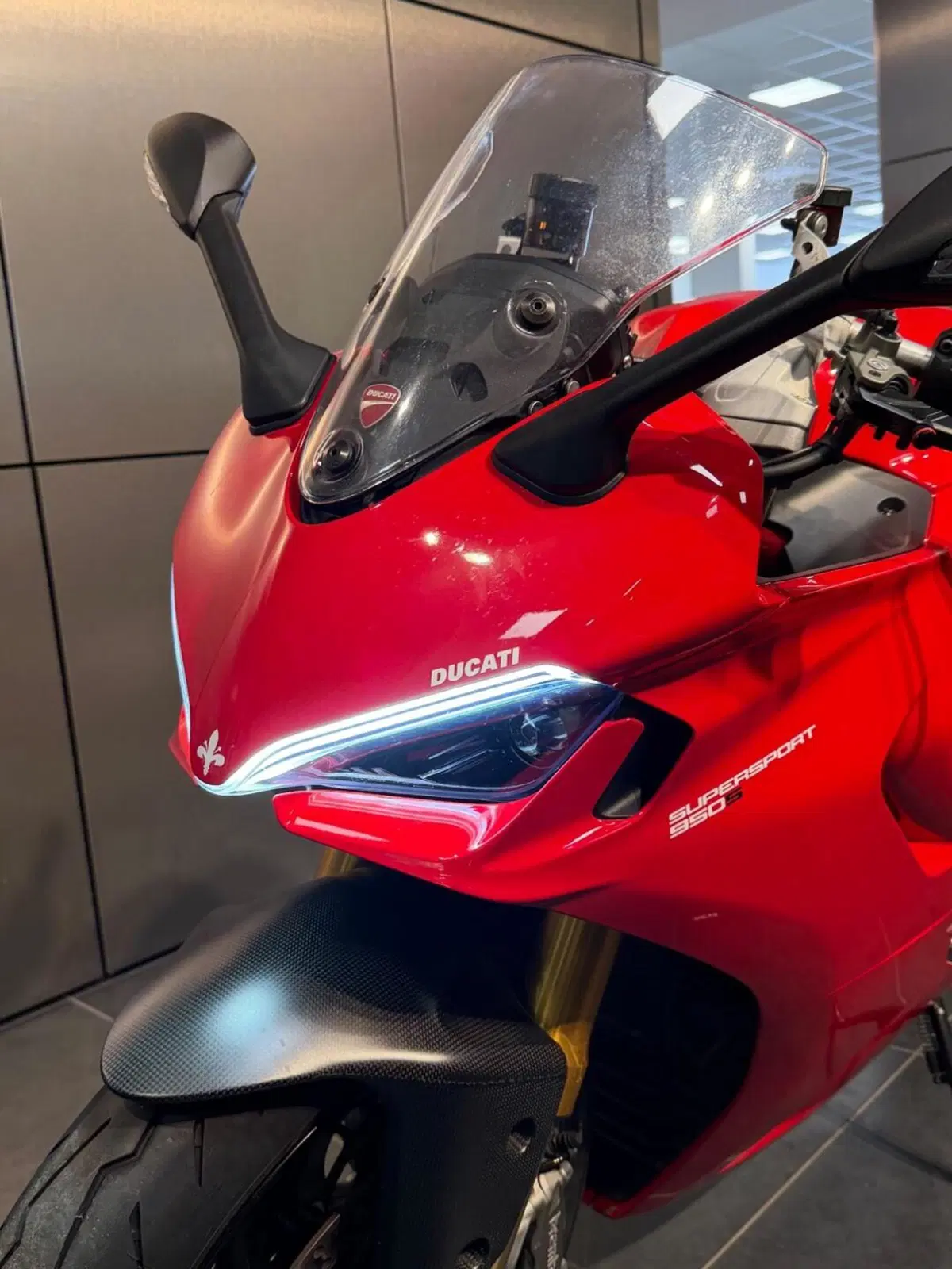 Ducati SuperSport 950 S (2021 - 24) (10)