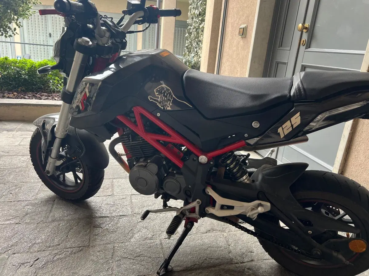 Benelli Tornado Naked T 125 (2017 - 20) (2)