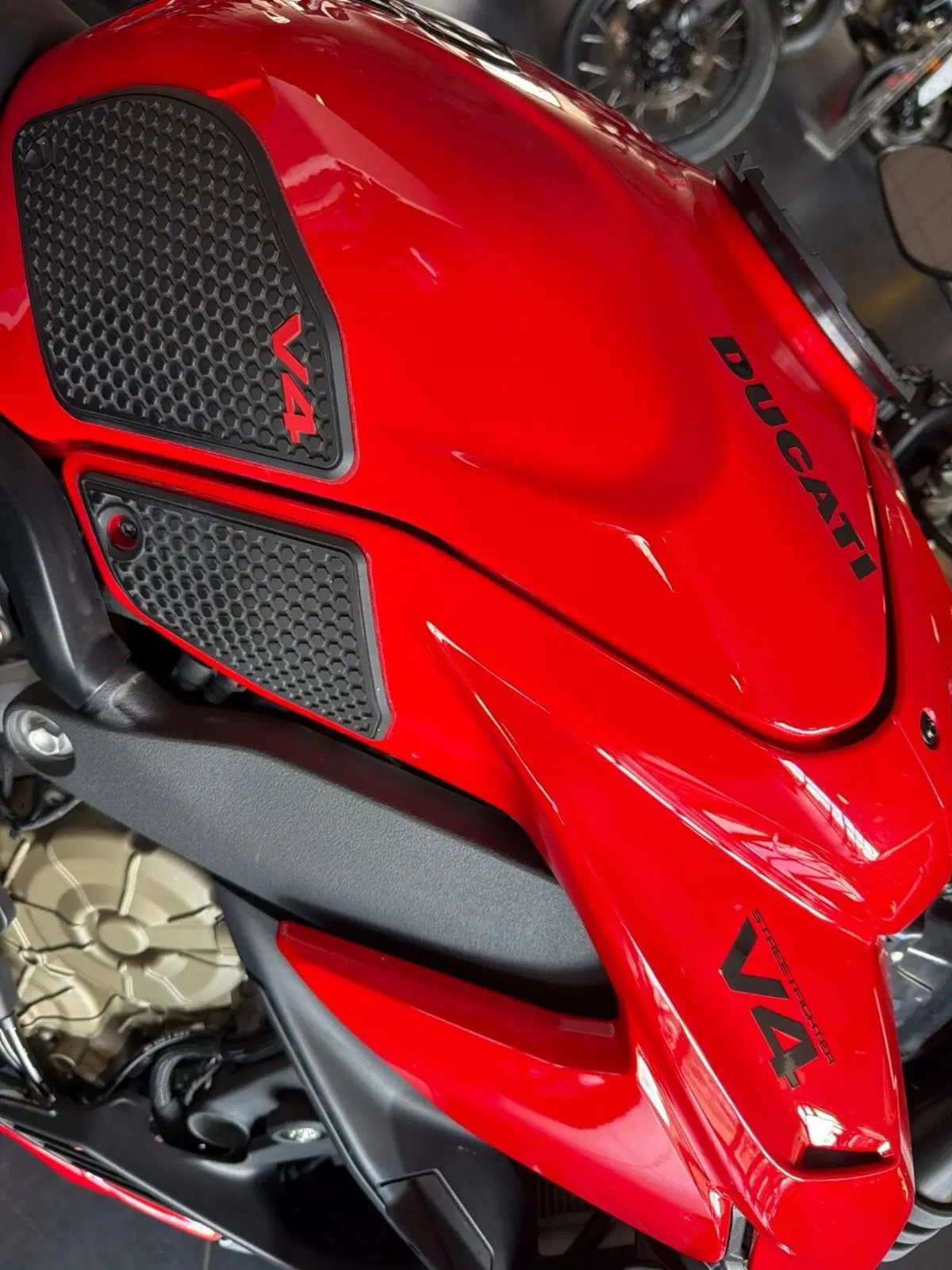 Ducati Streetfighter V4 (2023 - 24) (6)